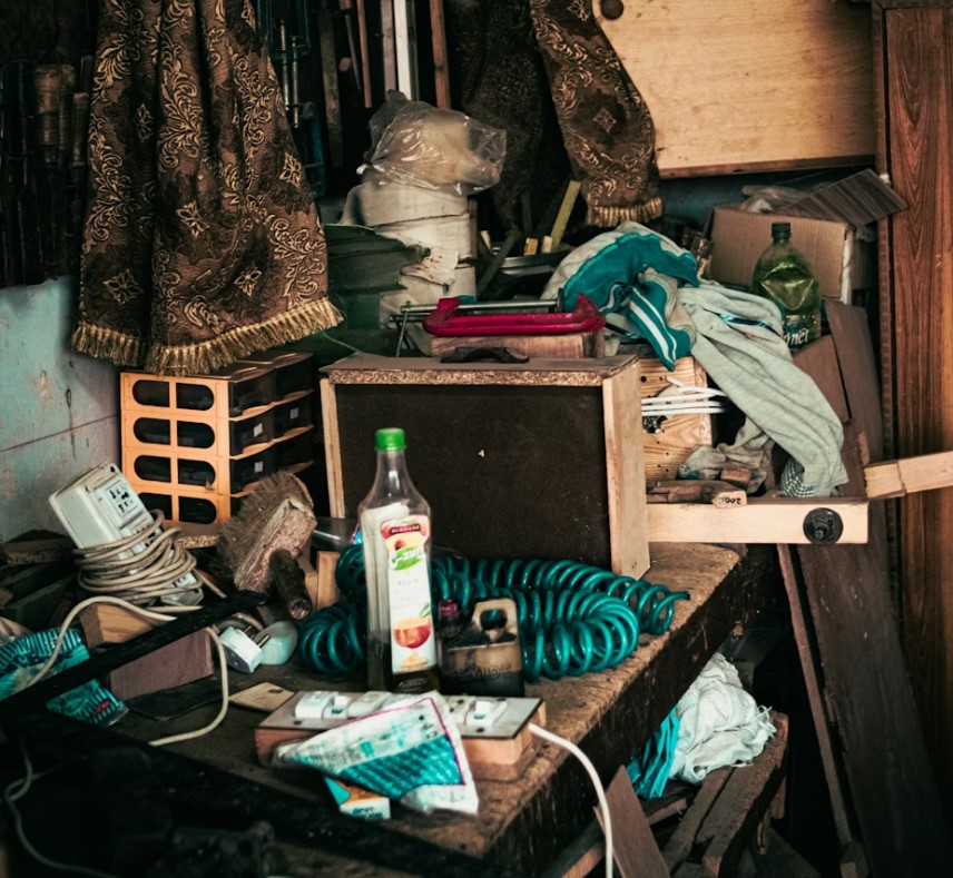 Когда квартира становится опасной для жизни: признаки антисанитарии фото